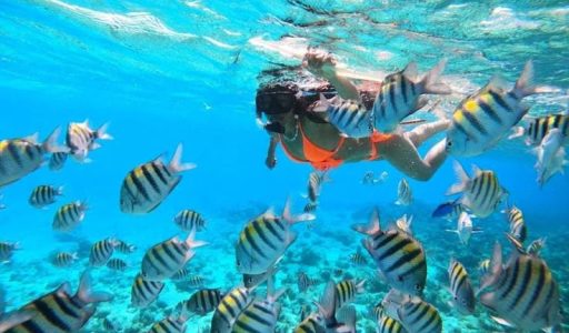 Acuario San Andrés