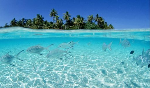 Isla Saona, Punta Cana
